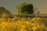 Some growers are lobbying for grain levy control to be removed from the Farmers Federation