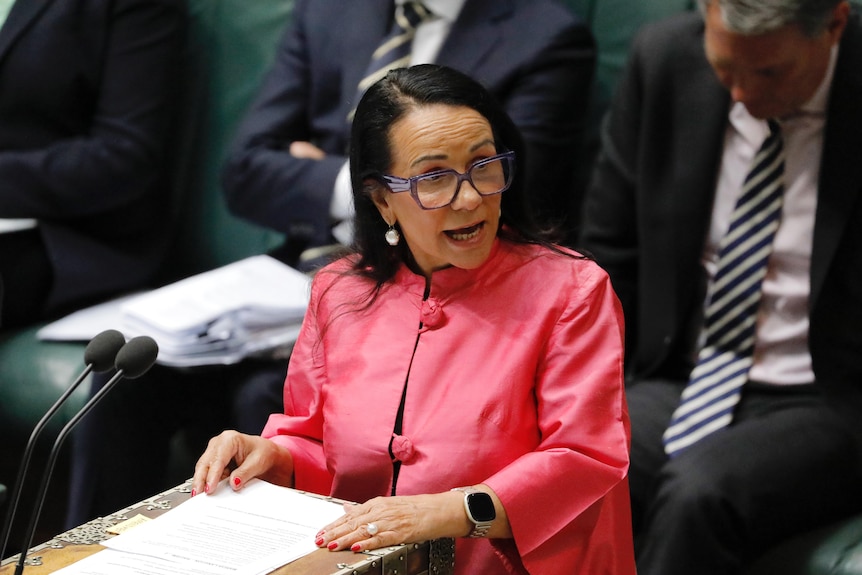 Minister Linda Burney during question time in a bright pink coat. 