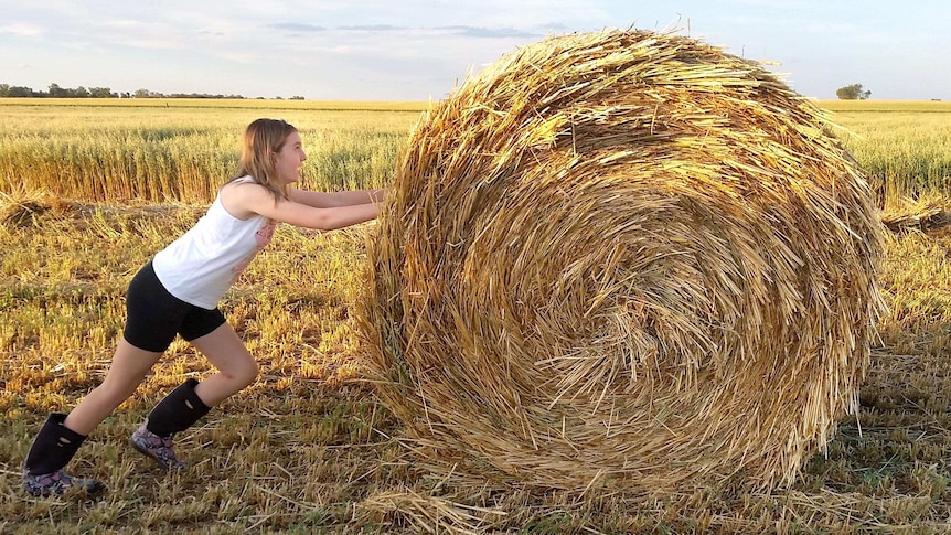 A girl attempts to push a large, round hay bale across a field