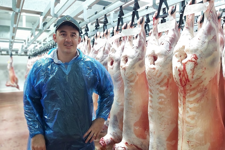 A man standing near lamb carcasses inside a meat processing abattoir at Cressy