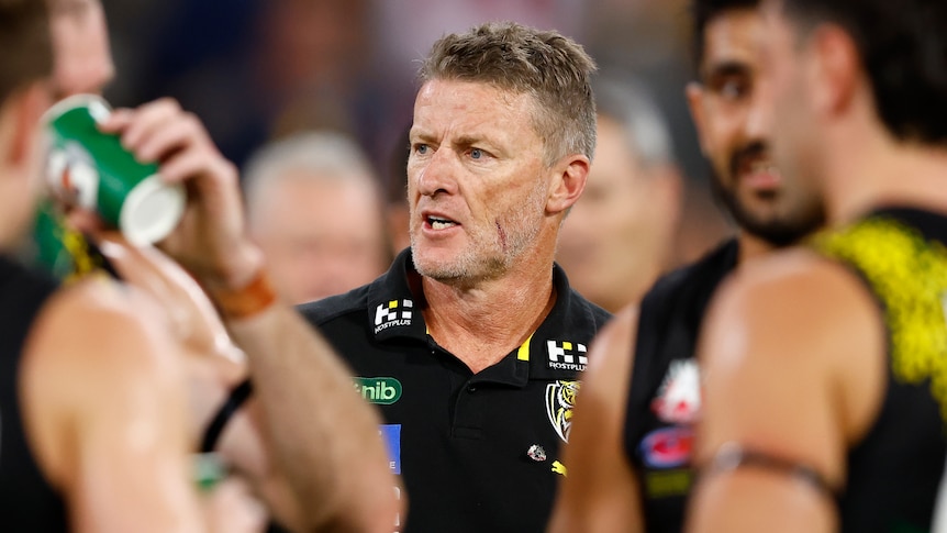 Damien Hardwick devrait annoncer sa démission en tant qu’entraîneur de Richmond lors de la 14e saison à Punt Road