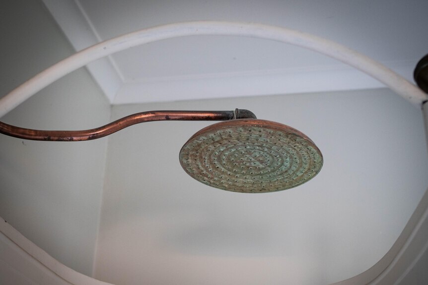 A close-up on a brass, vintage style shower head with greenish staining on the head