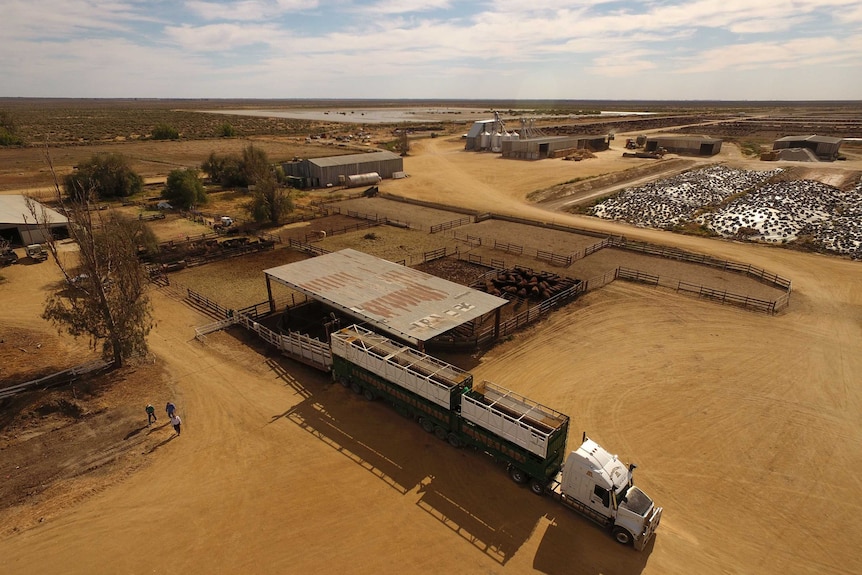 Aerial of Hells Gate property with trucks and cattle.