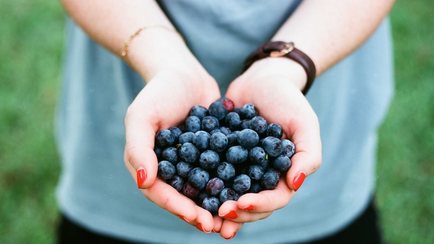 A woman holding a bunch of blueberries