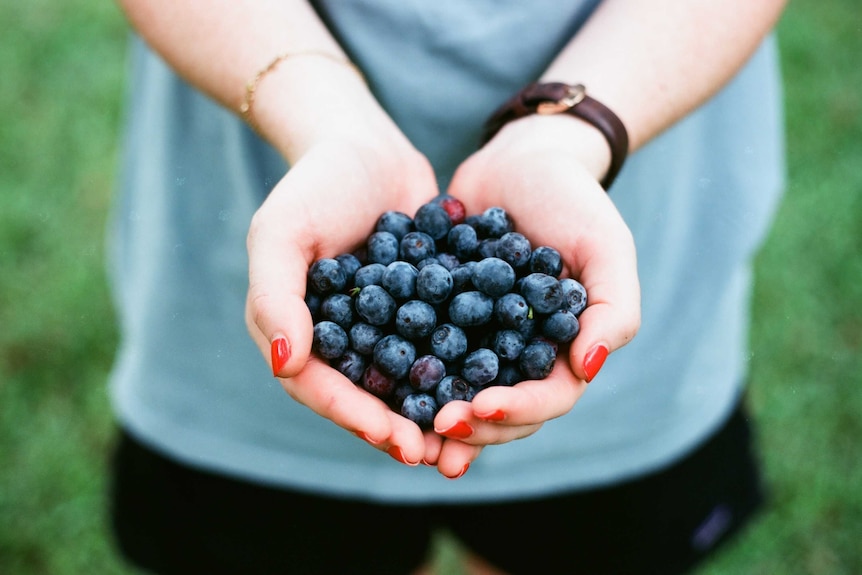 A woman holding a bunch of blueberries