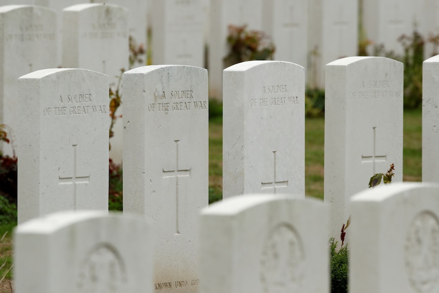 Vezi rânduri de pietre funerare de piatră pe o peluză verde luxuriantă.