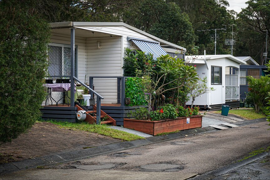 Modest homes along a narrow bitumen street.