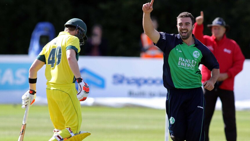 Steve Smith loses his wicket against Ireland