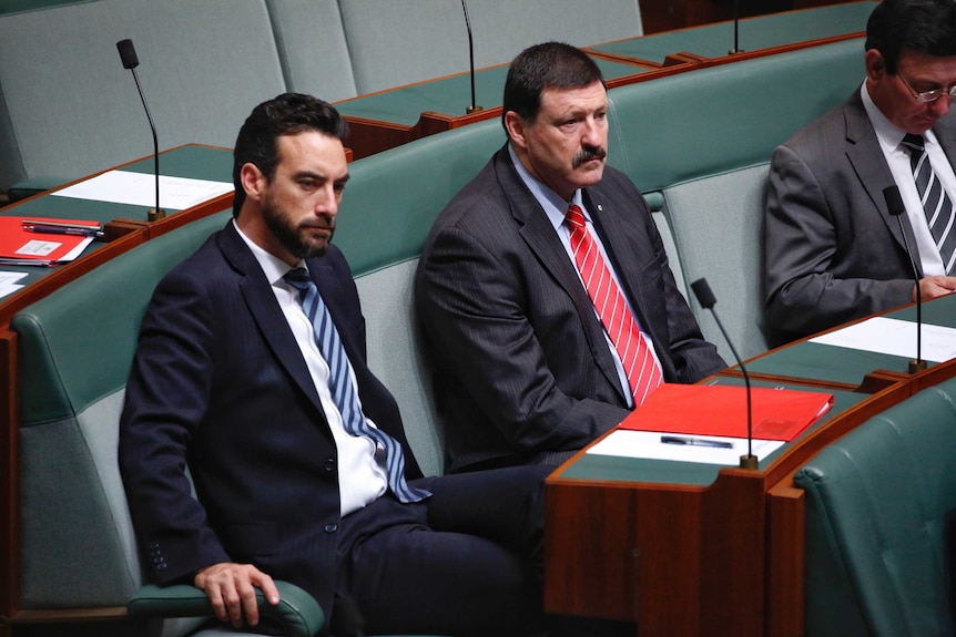 Labor MPs Tim Hammond (Perth) and Dr Mike Kelly (Eden-Monaro) sit beside each other in parliament