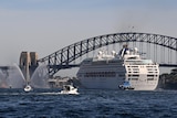 A cruise ship arrives in sydney harbour