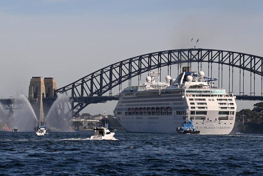 A cruise ship arrives in sydney harbour
