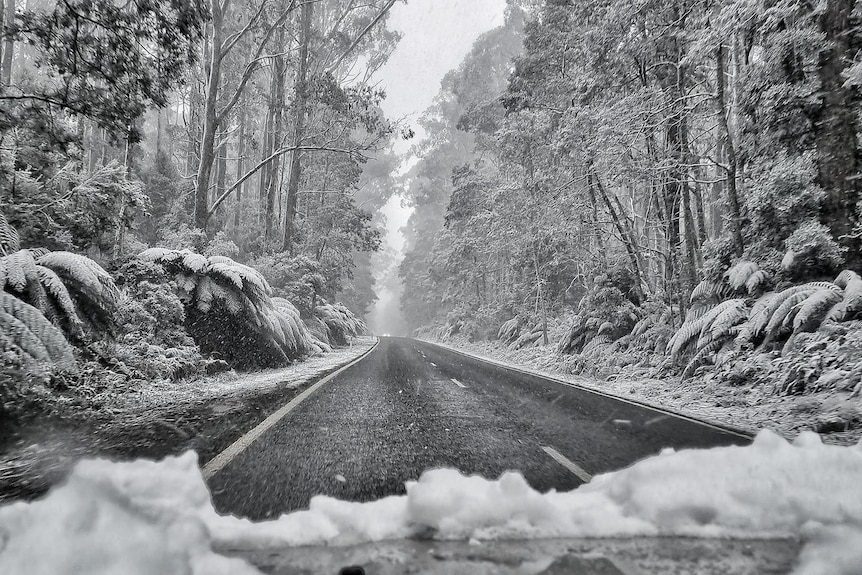 Snowy conditions on road as seen from inside car.