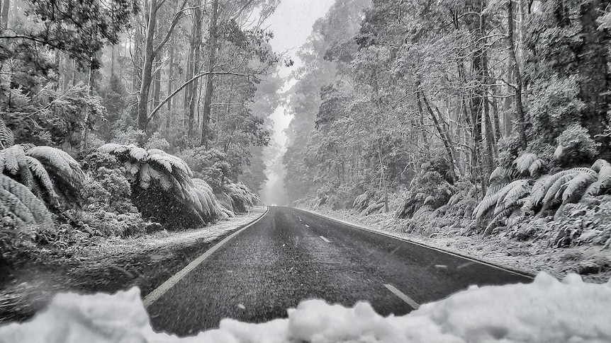 Snowy conditions on road as seen from inside car.