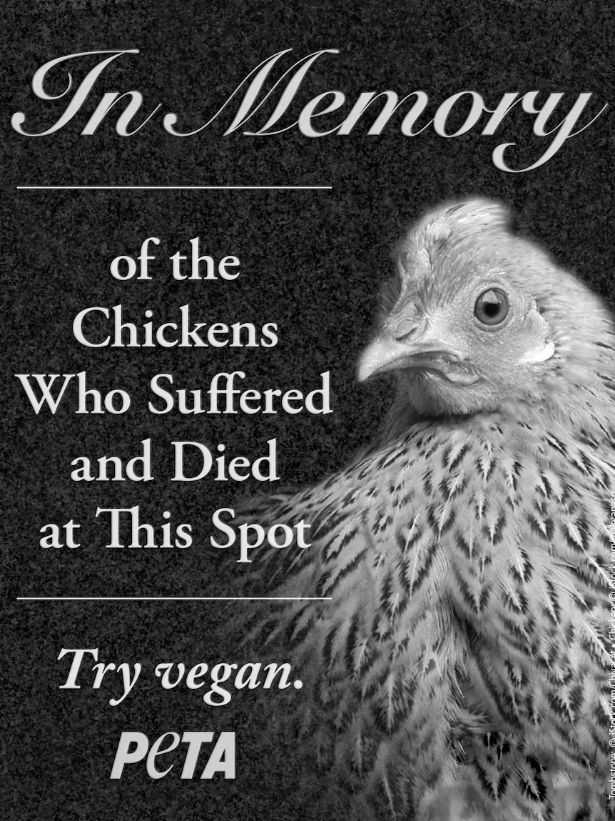 A picture of a chicken with words encouraging people to try being vegan.