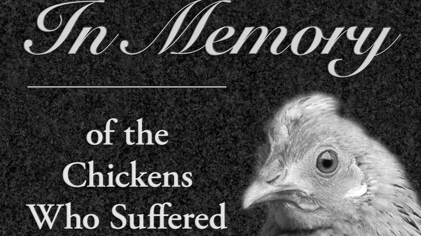 The proposed PETA chicken memorial