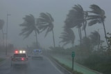 Palm trees are blown around in a haze as flashing police cars patrol the area.