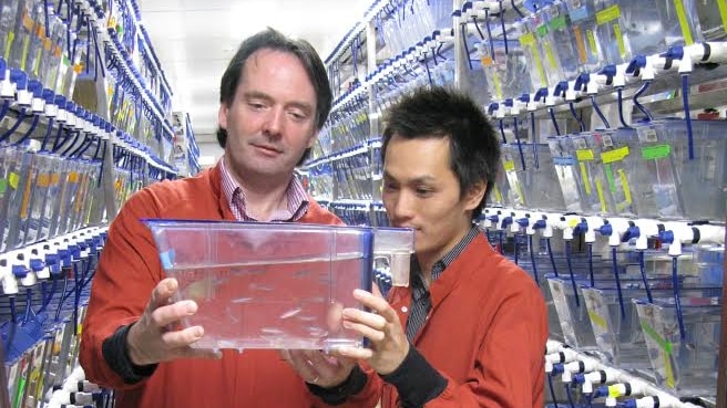 Professor Peter Currie and Phong Nguyen in the 7,000-tank fish facility.