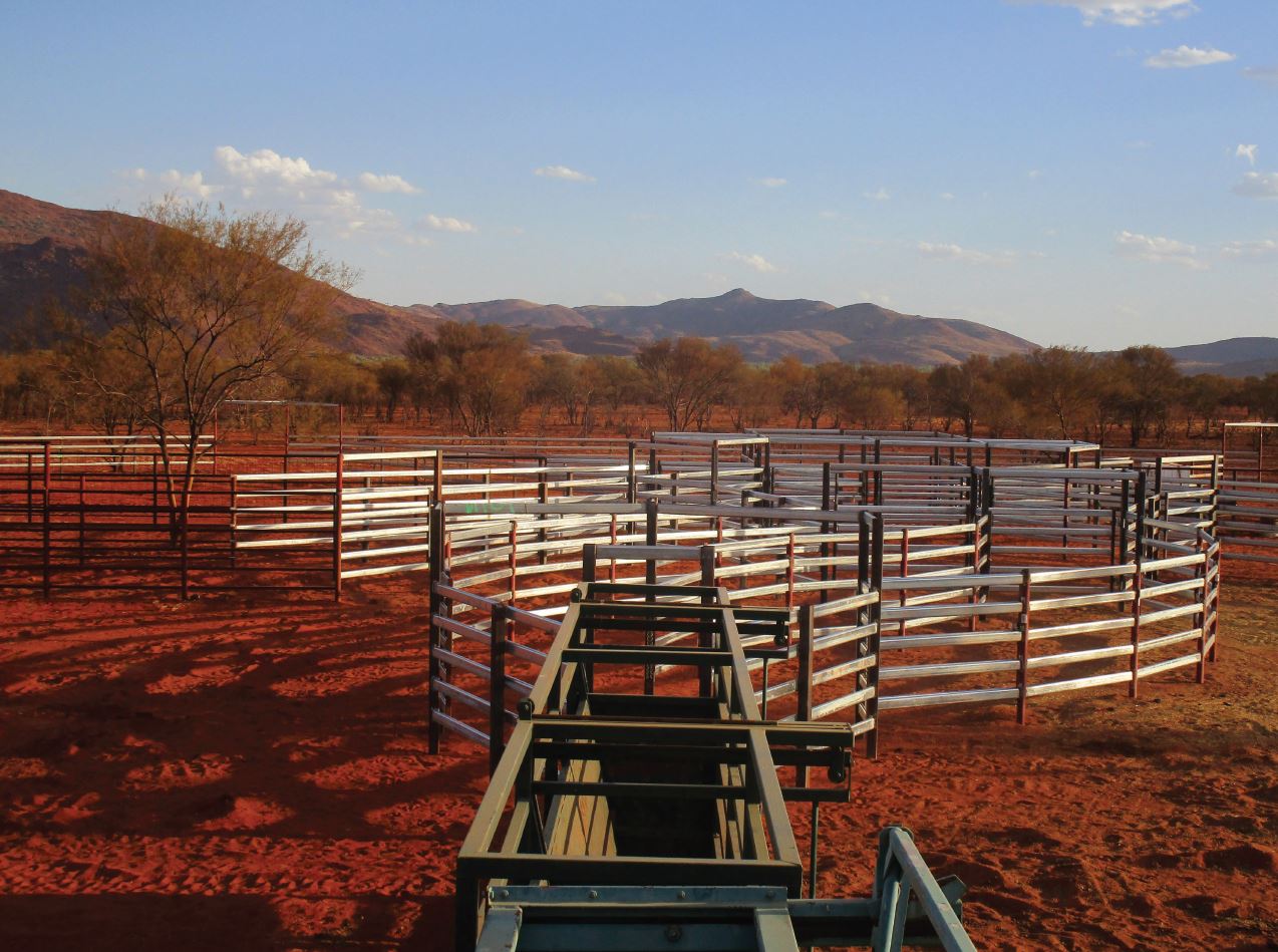 a set of new cattle yards with some hills in the background.