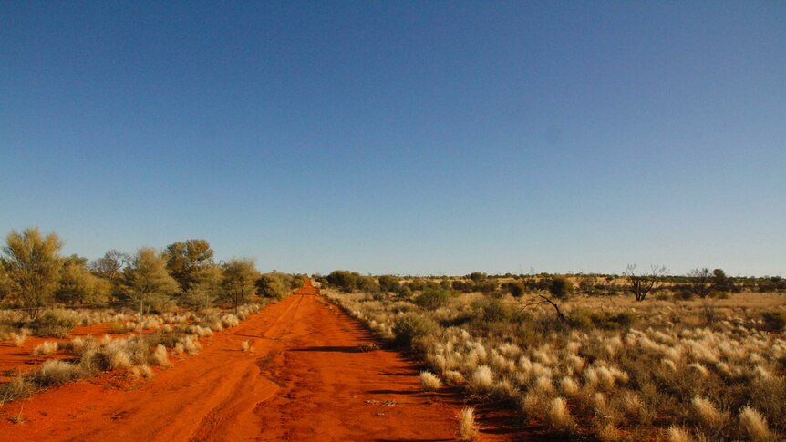 Red dirt road surrounded by green vegetation in the outback.