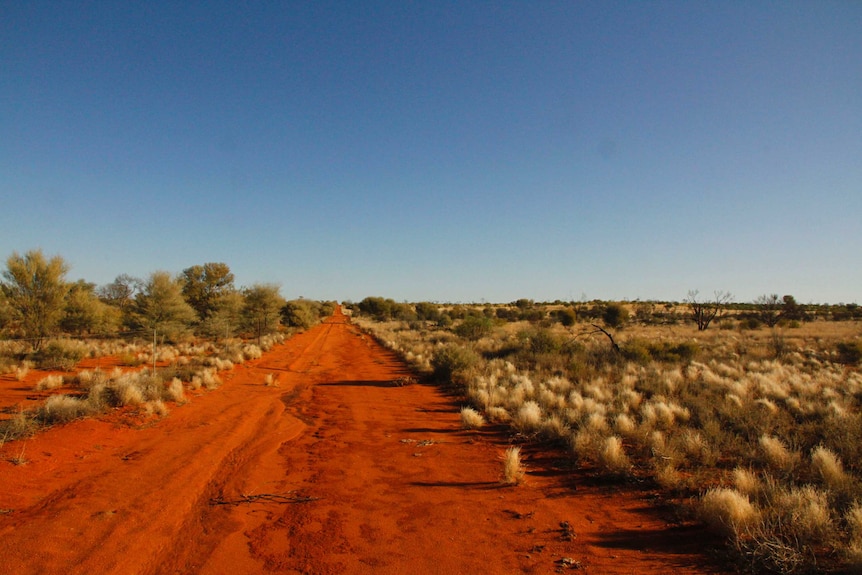 Red dirt road surrounded by green vegetation in the outback.