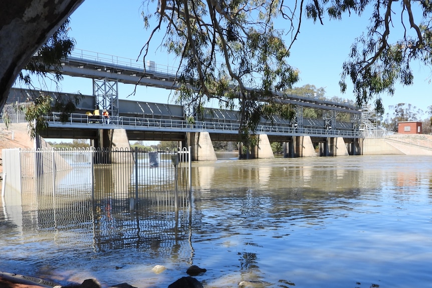 A metal and concrete weir with six gates in a river with people standing on it