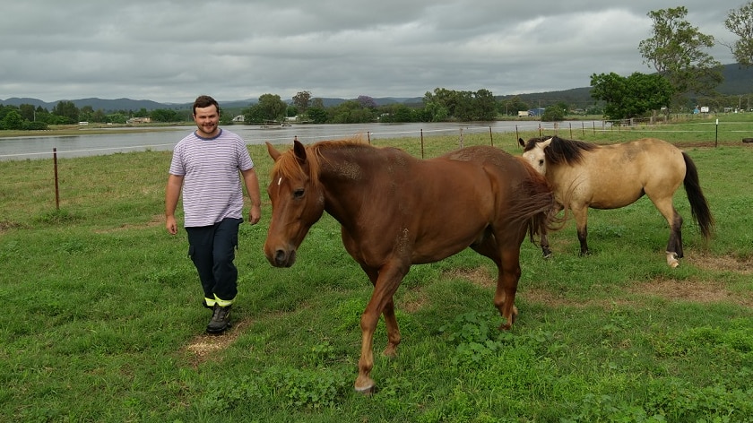 A man moves two horses in a paddock with floodwaters in the background