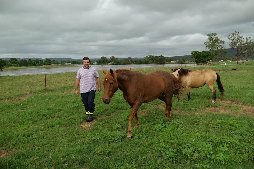 A man moves two horses in a paddock with floodwaters in the background