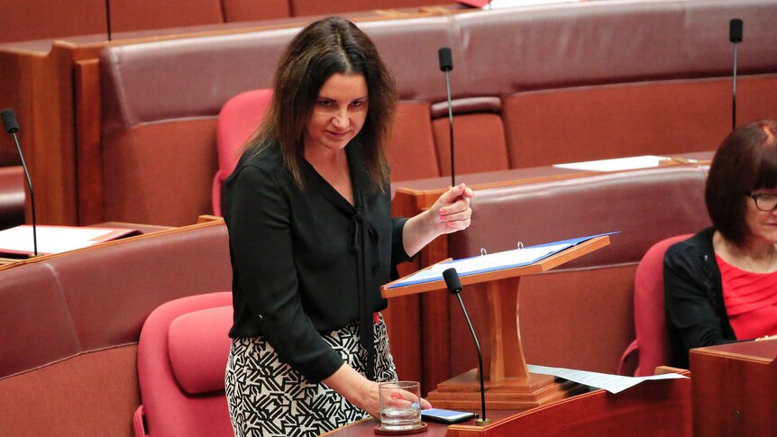 Jacqui Lambie stands and addresses the Senate, looking up from beneath her eyebrows