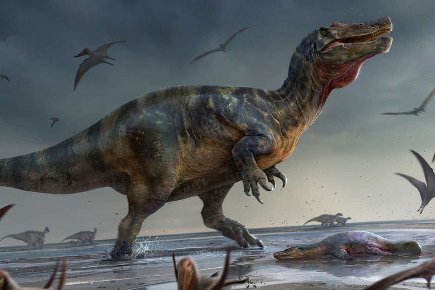 Artist's illustration shows a large meat-eating dinosaur found on Isle of Wight
