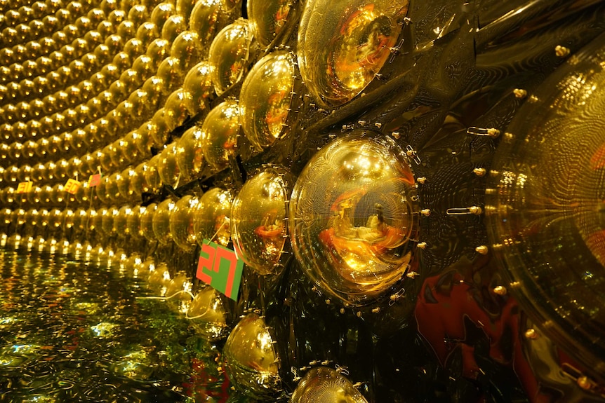 A close-up of large lightbulbs designed to detect supernova neutrinos.