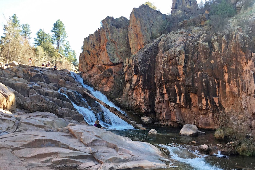 An area of Ellison Creek in Arizona. There is a high rock wall and water rushing down.