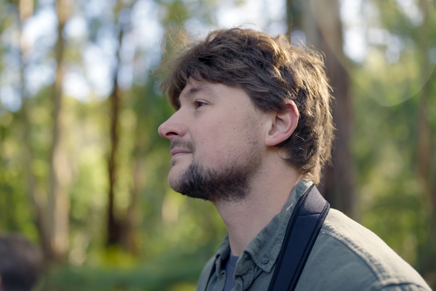 A man with brown hair stands in a forest looking away.