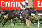 Stephen Baster passes the post on Ferlax to win the Australian Guineas at Flemington.