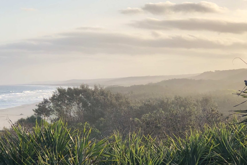 A smokey beach on Stradbroke Island.