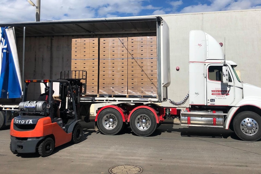 A man operating a forklift taking boxes off a truck