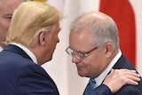Donald Trump puts his hand on Scott Morrison's shoulder while speaking close to his face