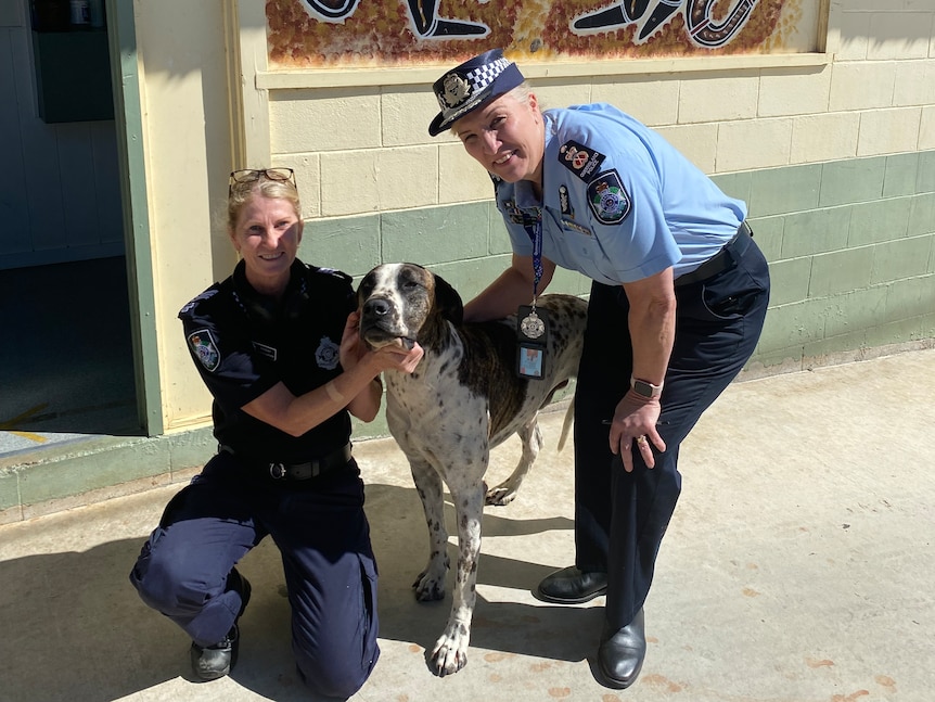 Queensland Police Commissioner Katarina Carroll with anothe police officer and a dog. 