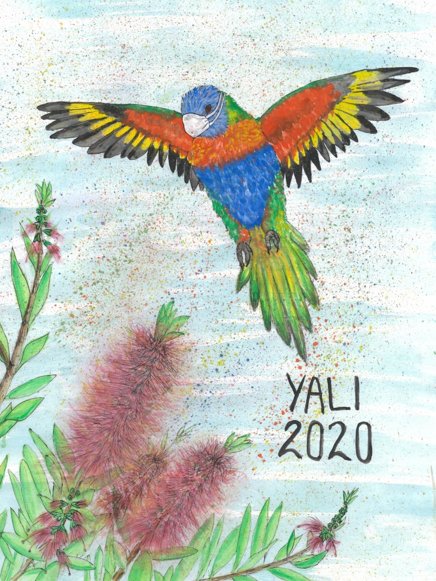 A drawing of a rainbow lorikeet bird wearing a face mask