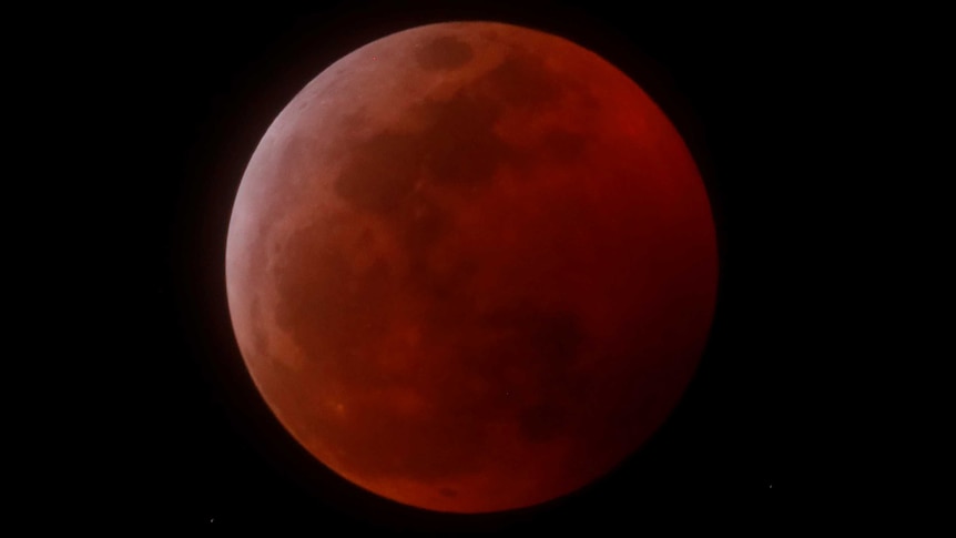 The moon is enlarged and has turned red in the sky.