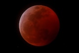 The moon is enlarged and has turned red in the sky.