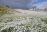 Paddocks covered with hail.