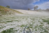 Paddocks covered with hail.