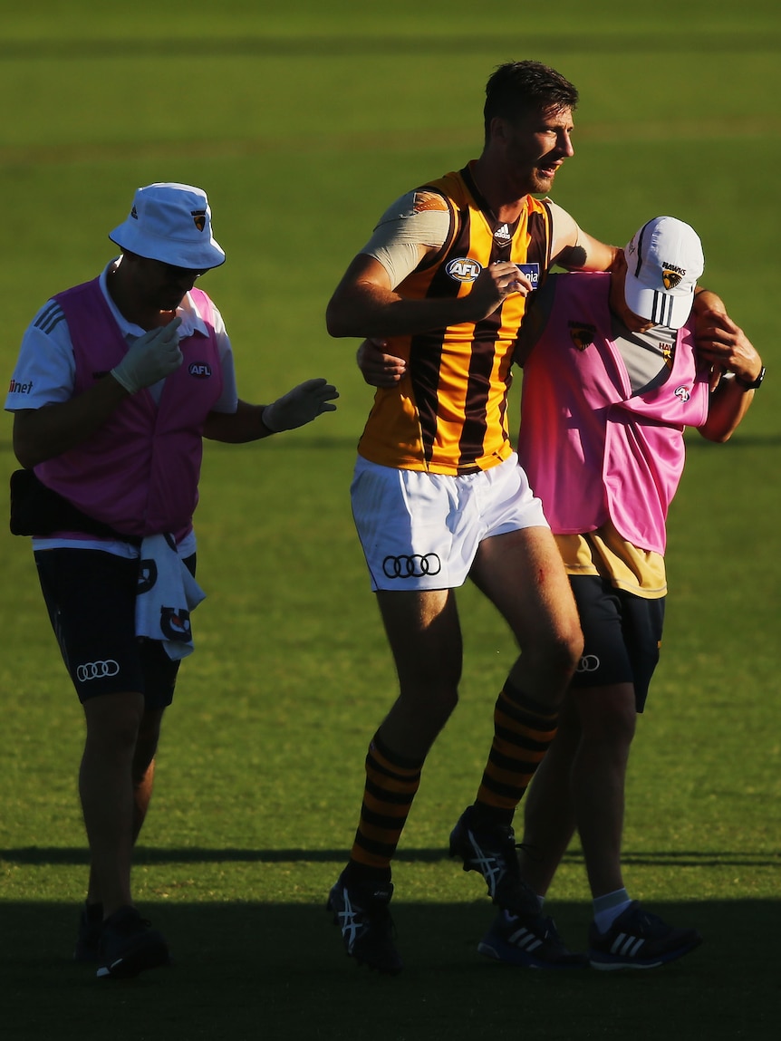 Hawthorn AFL footballer Jack Fitzgerald is helped from the ground by two trainers