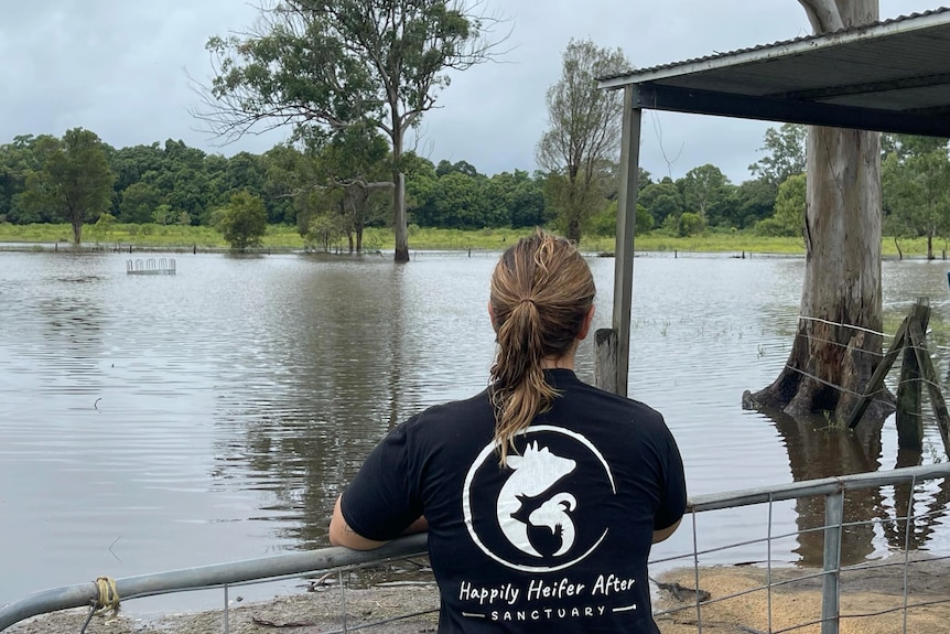 woman looking at flooded paddock