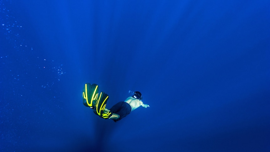 Image of a diver diving deep into dark blue water. They are diving using a snorkel and flippers to dive.