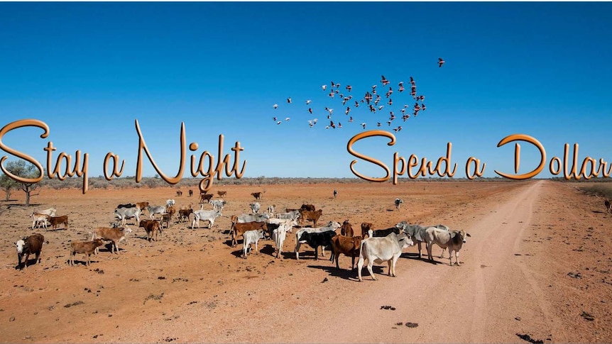 'Spend a night, Spend a dollar' social media campaign