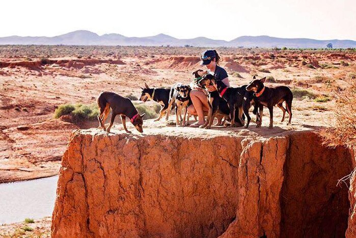 Woman kneels with about seven kelpies around her on a barren outback Australian landscape.