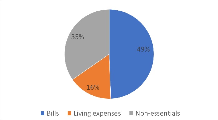 As you can see from the graph, I spend more on non-essentials than living expenses.