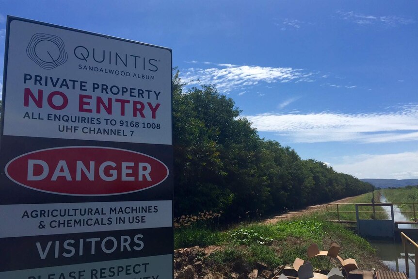 Close up of Quintis sign outside plantation.