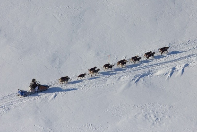 Christian Turner racing his team team of dogs across the snow